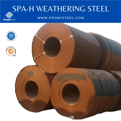 SPA-H ওয়েদারিং স্টিল